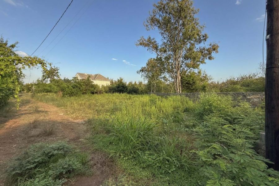 Grand Gaube Terrain 1844&nbsp;m² Vente