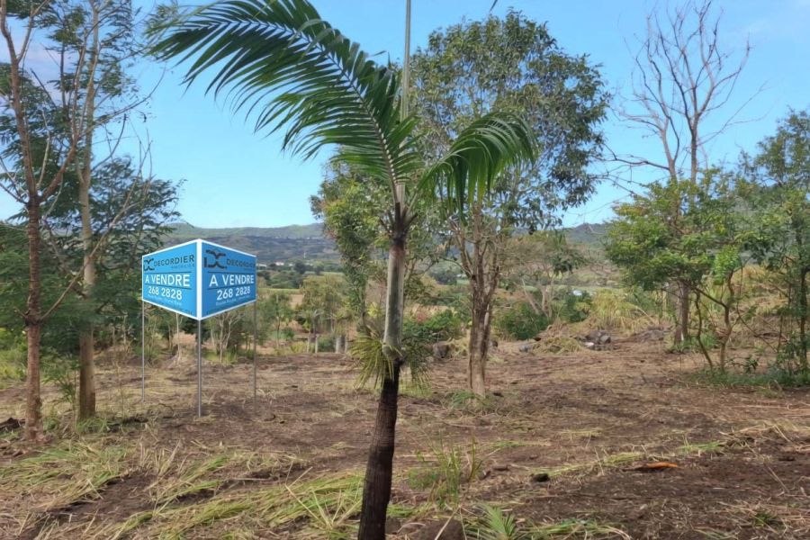 Pamplemousses Terrain 9898&nbsp;m² Vente