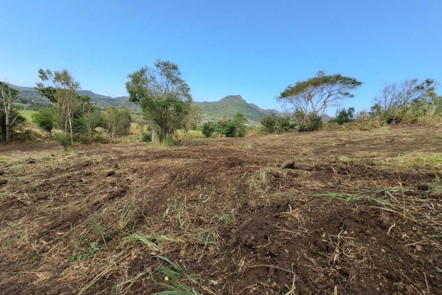 Pamplemousses Terrain 9898&nbsp;m² Vente