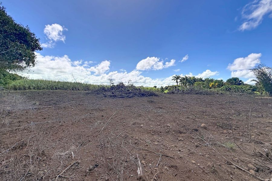 Deux Bras Land 4693&nbsp;m² Sale