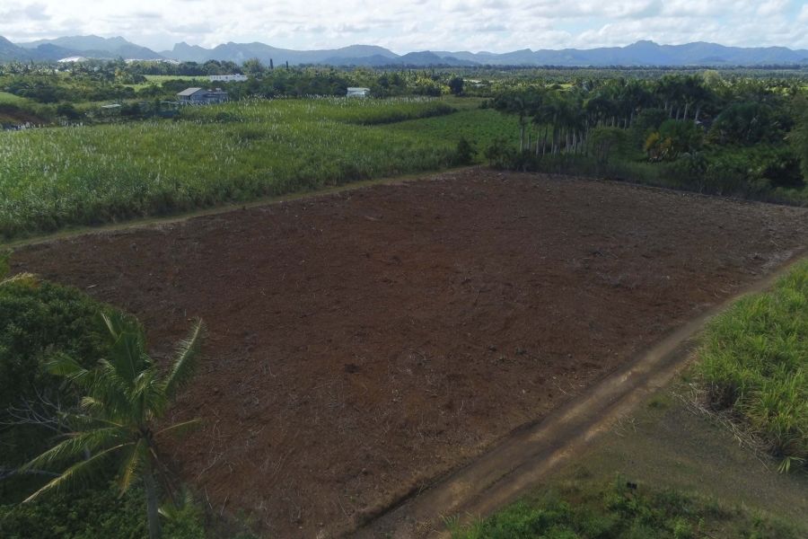 Deux Bras Land 4693&nbsp;m² Sale