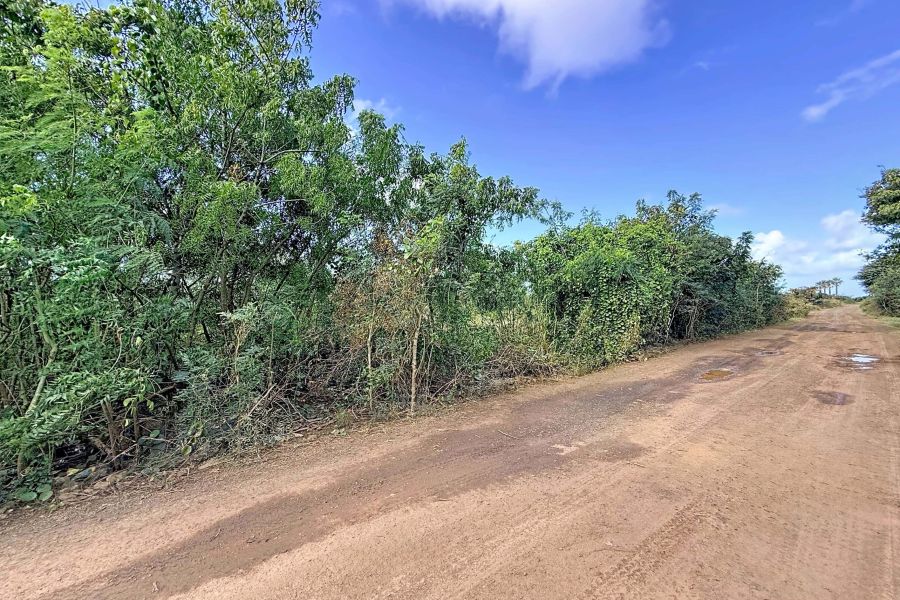 Saint Antoine Terrain 5687&nbsp;m² Vente