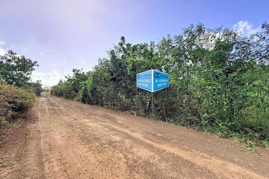 Saint Antoine Terrain 5687&nbsp;m² Vente