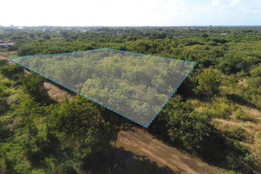 Saint Antoine Terrain 5687&nbsp;m² Vente