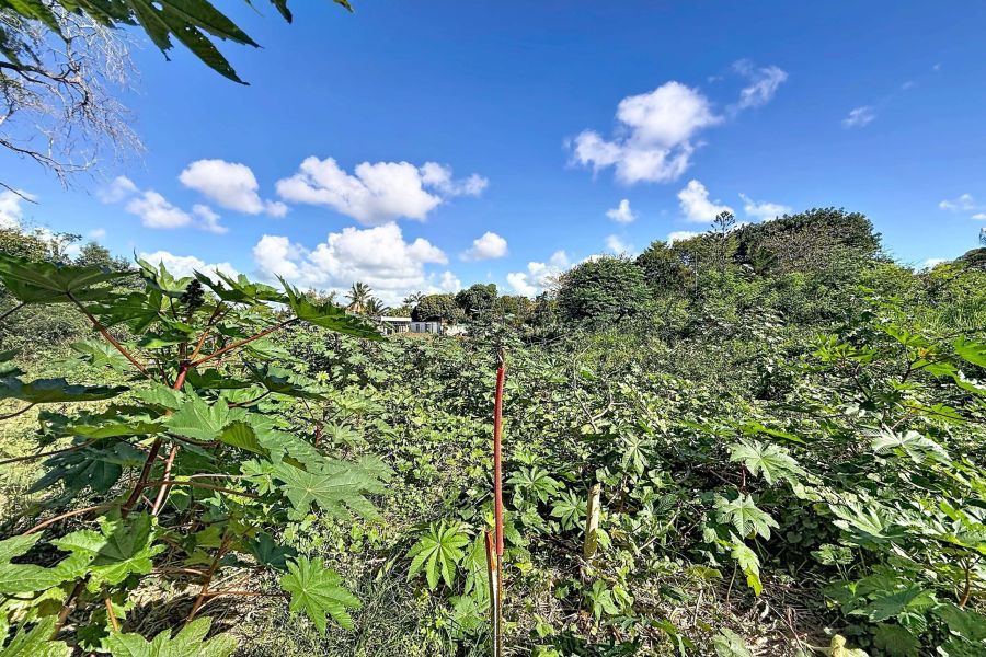 Pereybere Terrain 797&nbsp;m² Vente