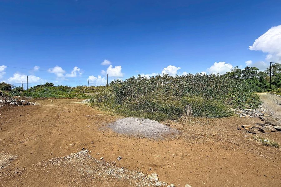 Grand Baie Land 1350&nbsp;m² Sale