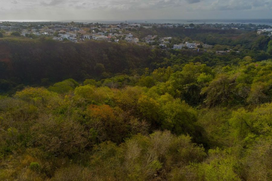 Pailles Land 6.71&nbsp;ha Sale