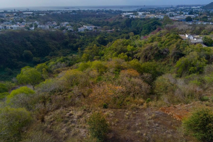 Pailles Land 6.71&nbsp;ha Sale