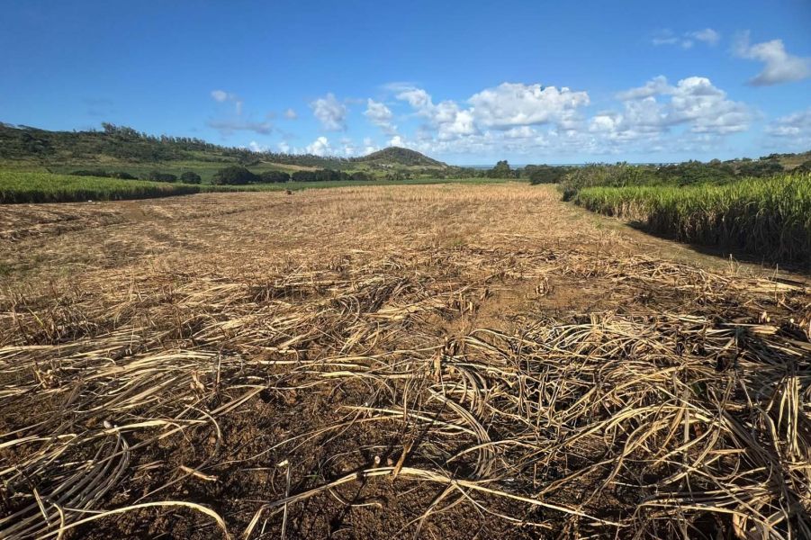 Bambous Land 2.01&nbsp;ha Sale