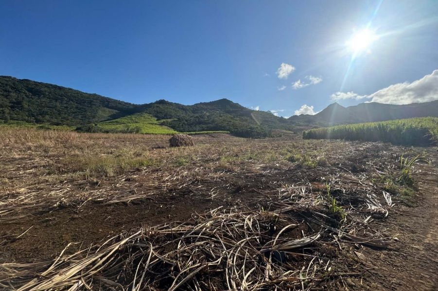 Bambous Land 2.01&nbsp;ha Sale
