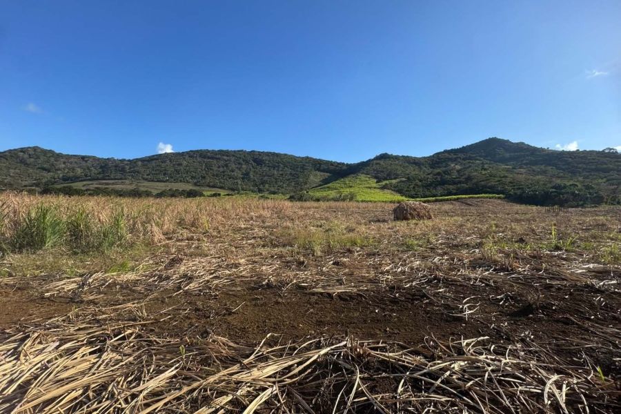 Bambous Land 2.01&nbsp;ha Sale