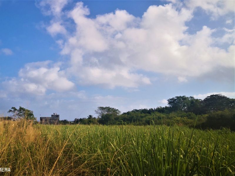 The Vale Terrain 4220&nbsp;m² Vente