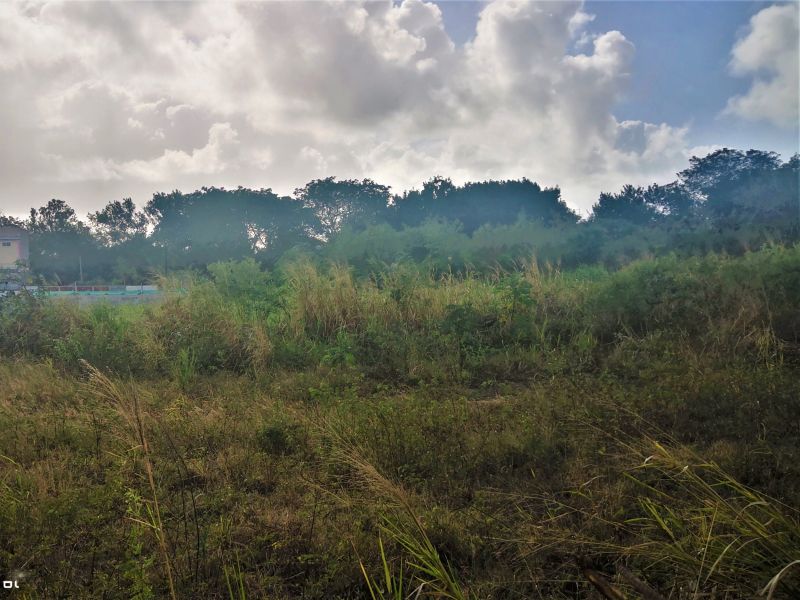 The Vale Terrain 4220&nbsp;m² Vente