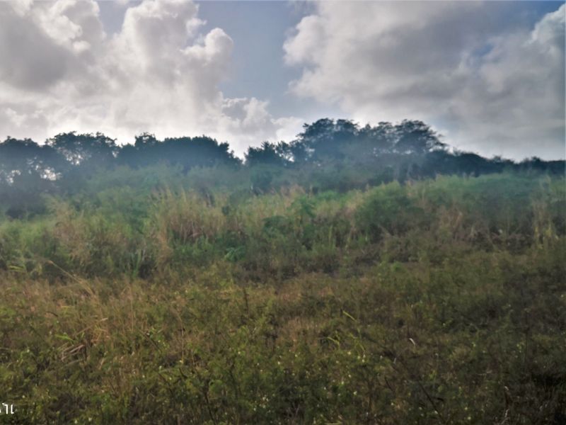 The Vale Terrain 4220&nbsp;m² Vente
