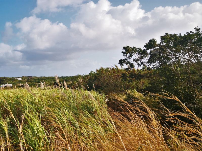 Grand Baie Terrain 1.48&nbsp;ha Vente