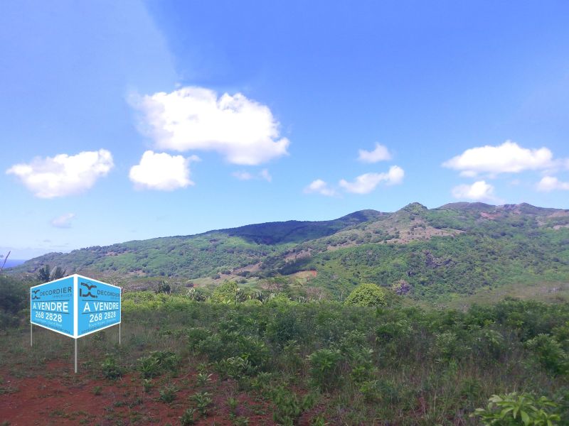 Chamarel Land 196.07&nbsp;ha Sale