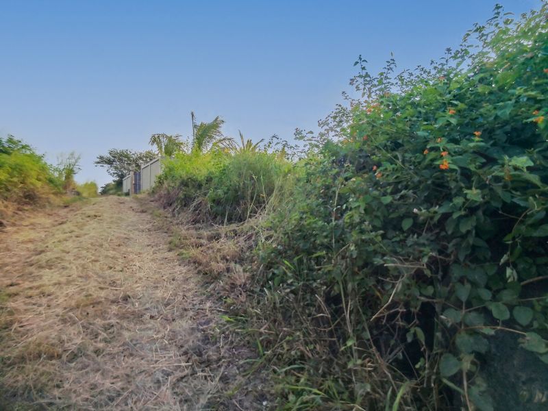 Calodyne Terrain 2580&nbsp;m² Vente