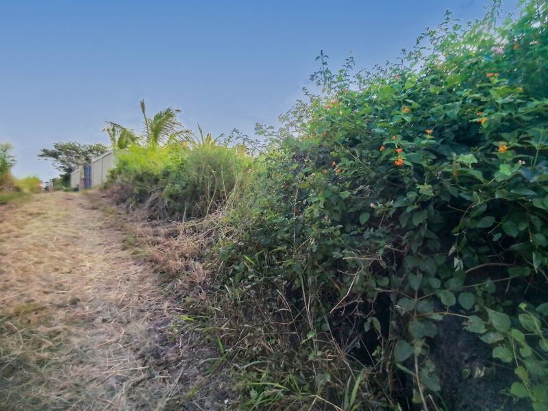 Calodyne Terrain 2580&nbsp;m² Vente