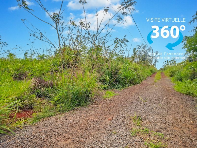 Baie du Tombeau Land 2808&nbsp;m² Sale