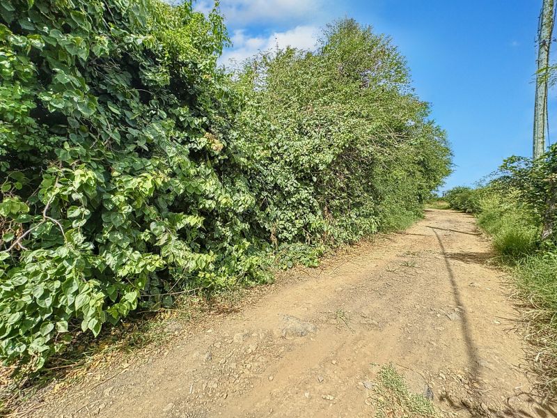 Pereybere Land 2165.95&nbsp;m² Sale