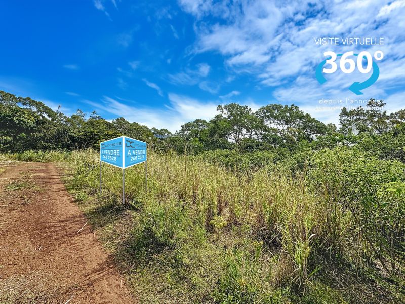 Pamplemousses Terrain 4221&nbsp;m² Vente
