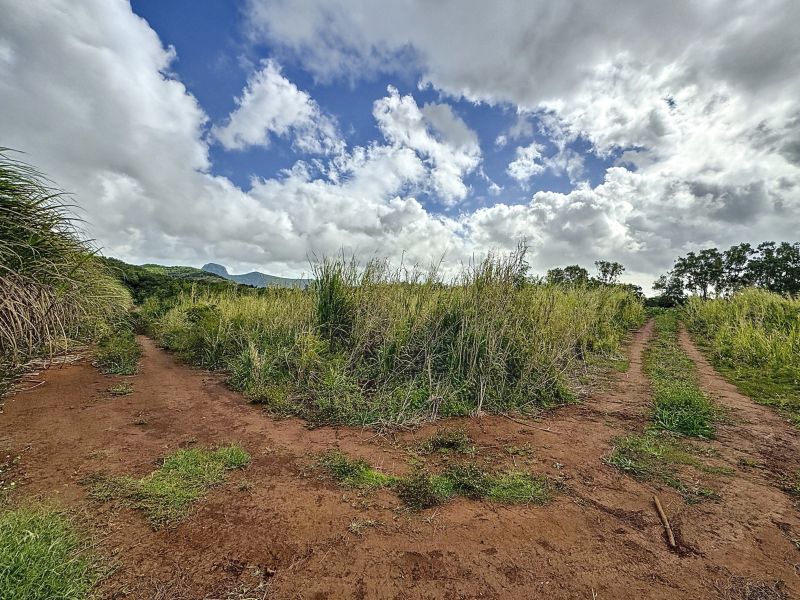 Pamplemousses Terrain 4221&nbsp;m² Vente
