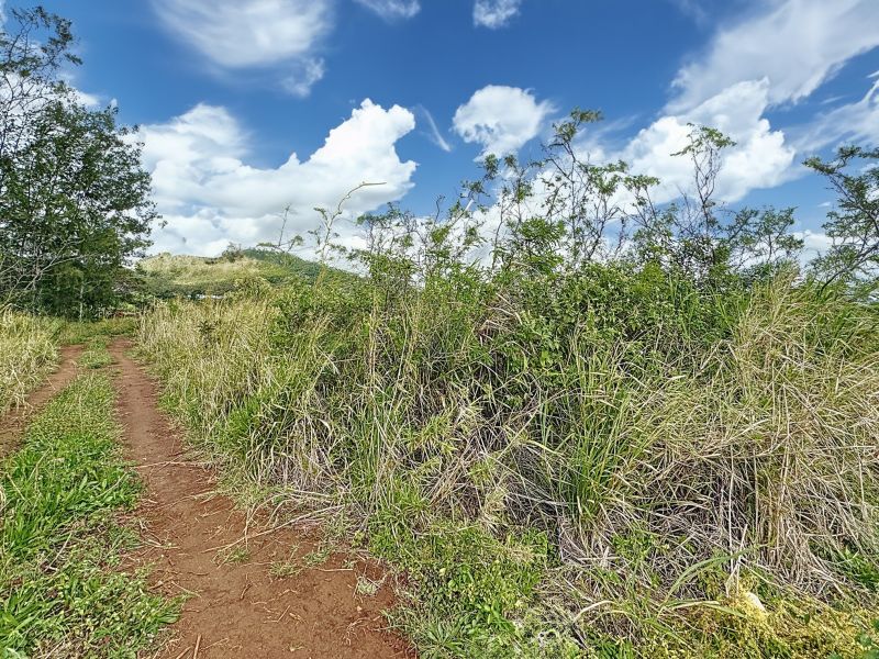 Pamplemousses Terrain 4221&nbsp;m² Vente