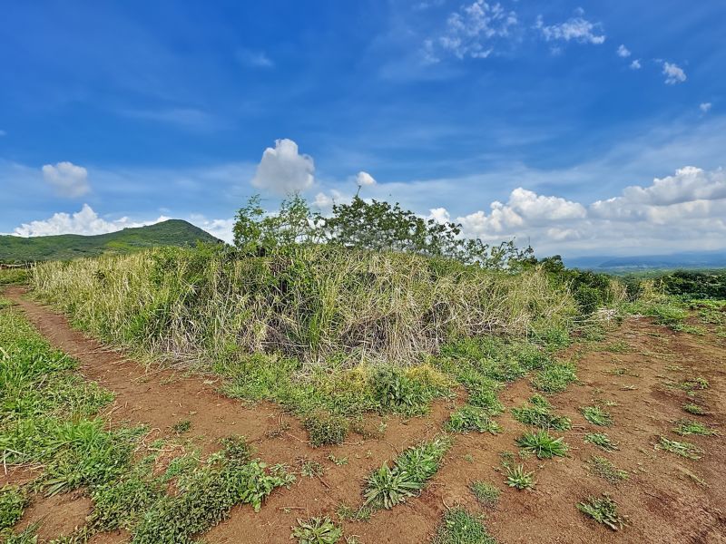 Pamplemousses Terrain 4221&nbsp;m² Vente