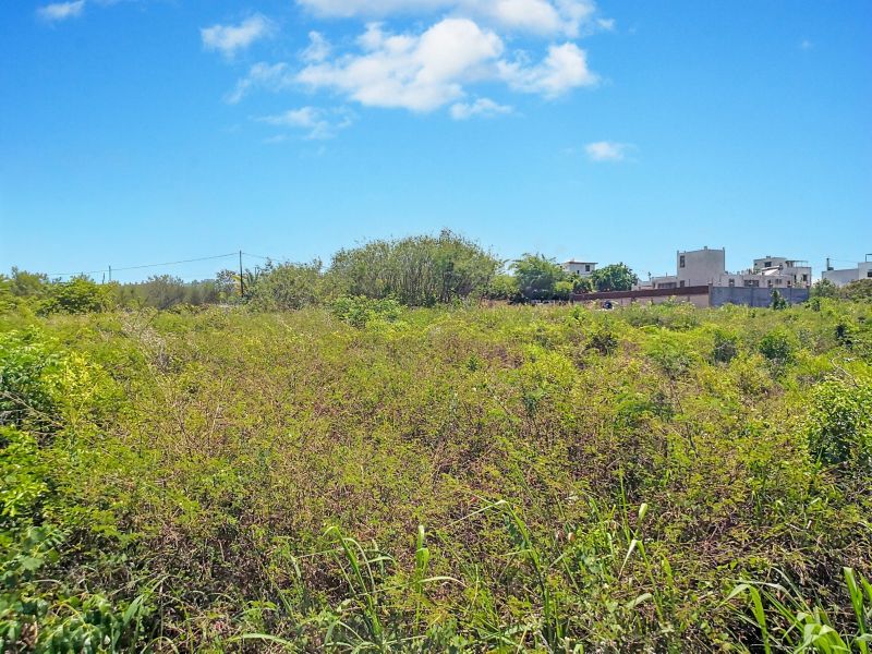 Mont Choisy Land 1061&nbsp;m² Sale