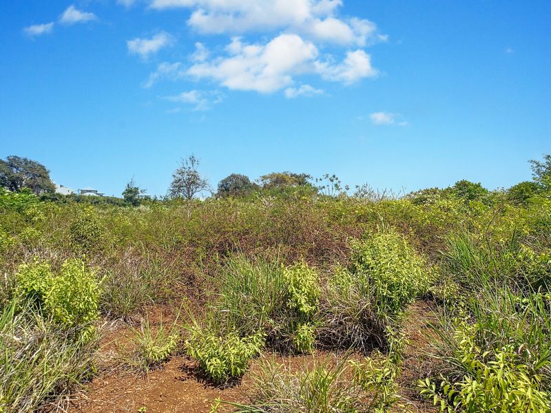 Mont Choisy Land 1061&nbsp;m² Sale