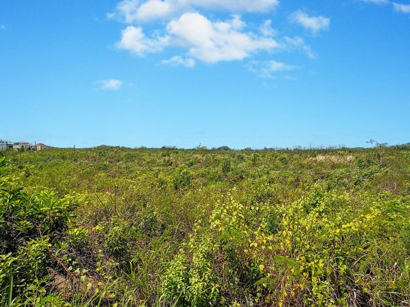 Mont Choisy Land 1061&nbsp;m² Sale