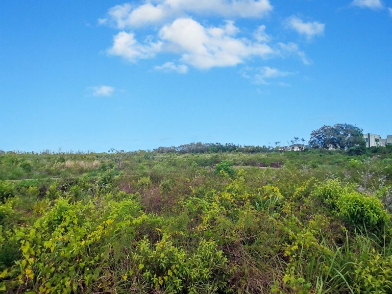 Mont Choisy Land 1061&nbsp;m² Sale