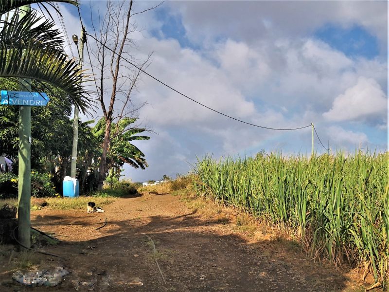 The Vale Buildable land 4220 m² Sale