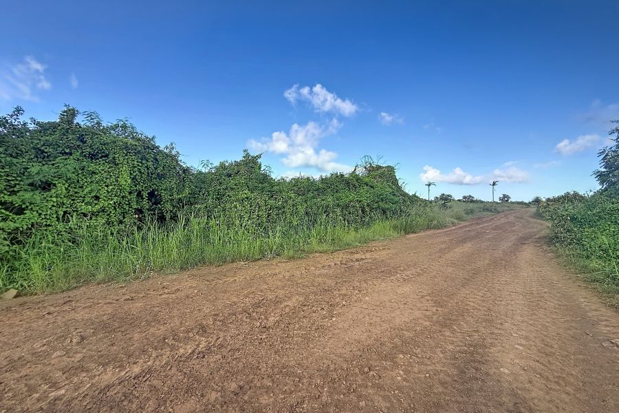 Saint Antoine Terrain 5408&nbsp;m² Vente