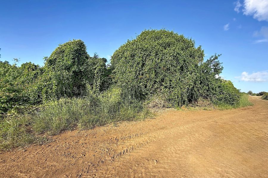 Saint Antoine Terrain 5408&nbsp;m² Vente