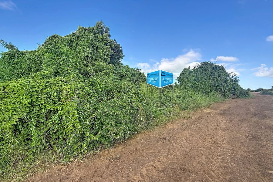 Saint Antoine Terrain 5408&nbsp;m² Vente