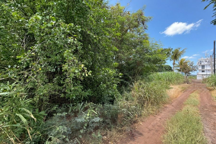 The Vale Terrain 464&nbsp;m² Vente