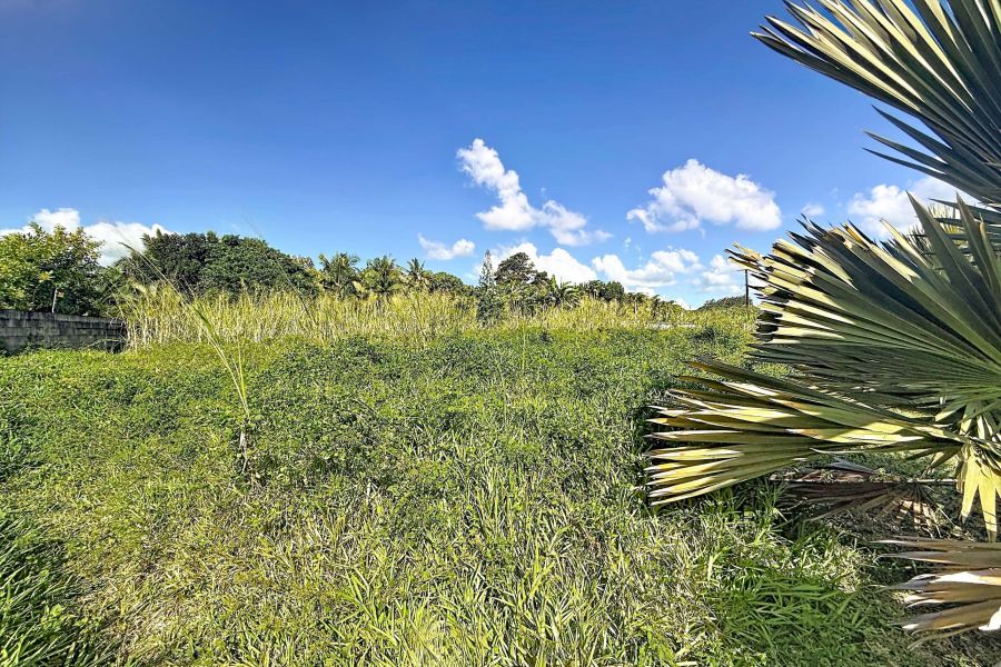 Mon Gout Land 1077&nbsp;m² Sale