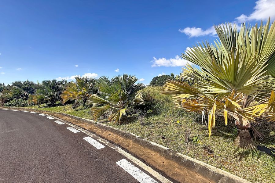 Mon Gout Land 1077&nbsp;m² Sale