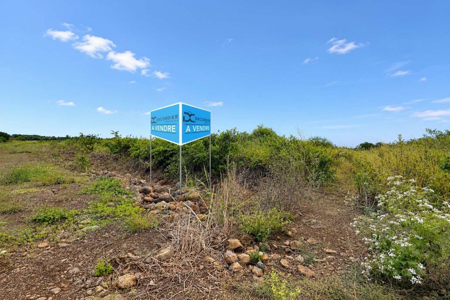 Amaury Land 5448&nbsp;m² Sale