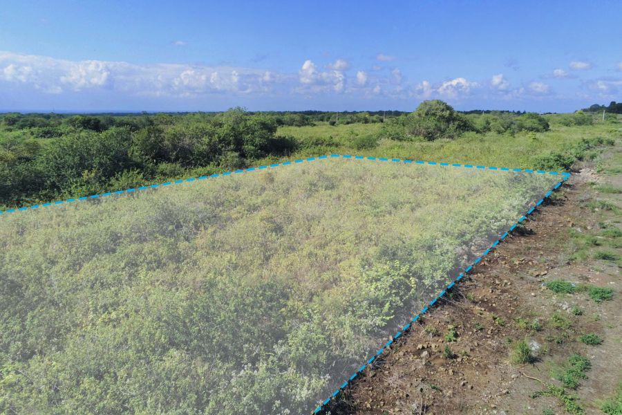 Amaury Land 5448&nbsp;m² Sale