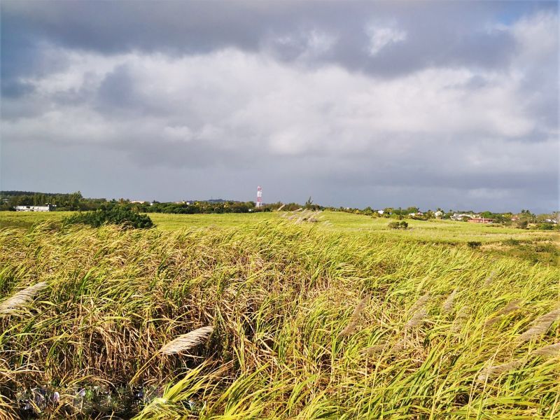 land for sale on Grand Baie Grand Baie Land 1.48 ha Sale