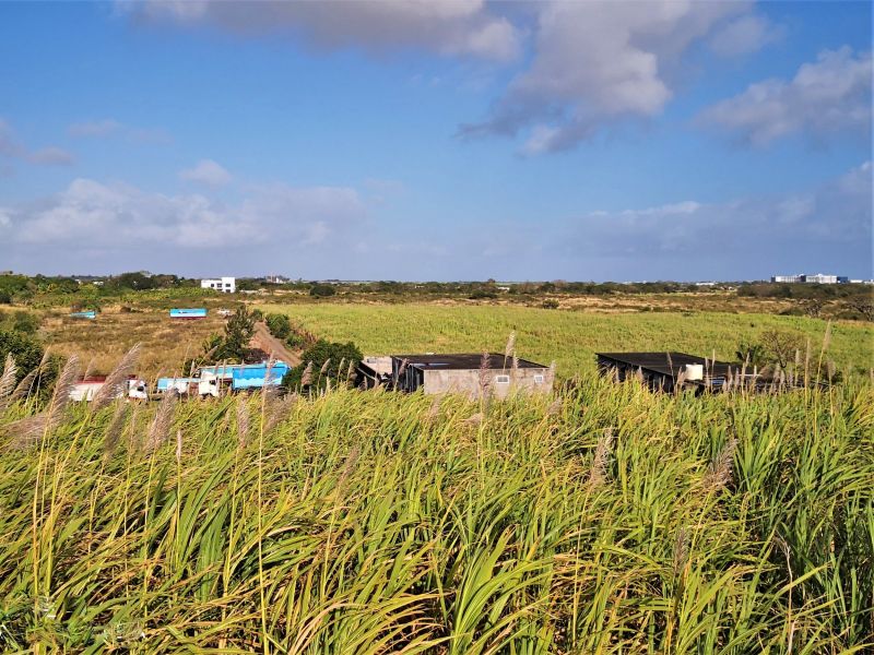 land for sale on Grand Baie Grand Baie Land 1.48 ha Sale