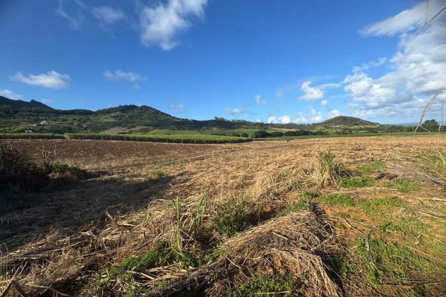 Bambous Virieux Land 2.01&nbsp;ha Sale
