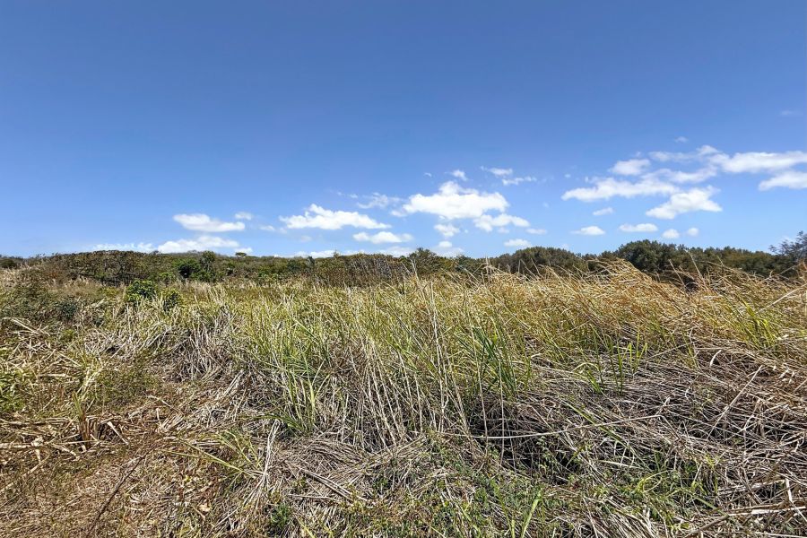 Mont Mascal Terrain 1888.84&nbsp;m² Vente