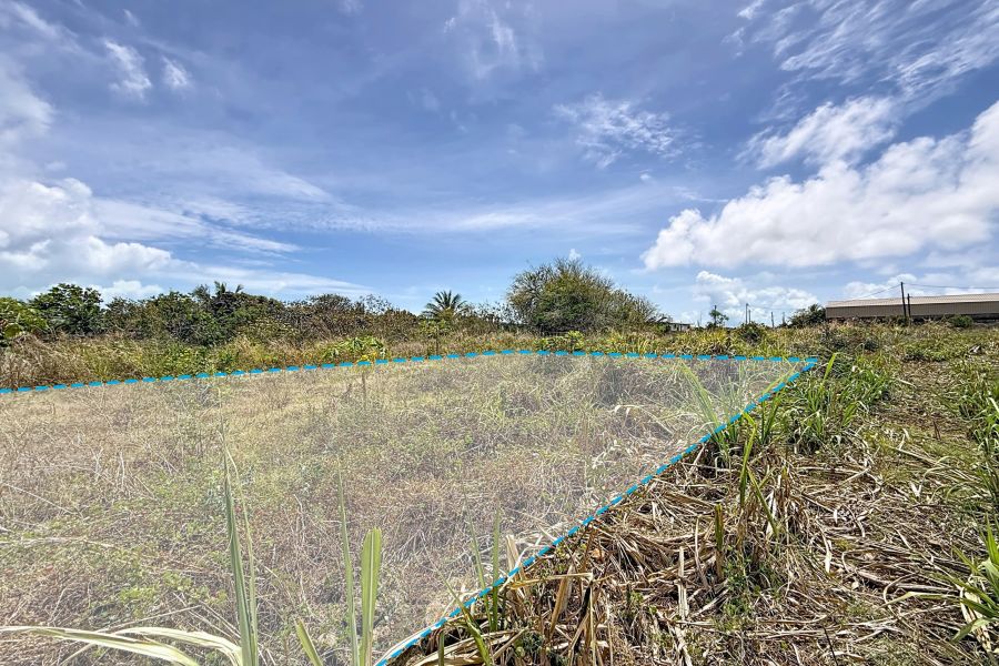 Mont Mascal Terrain 1888.84&nbsp;m² Vente