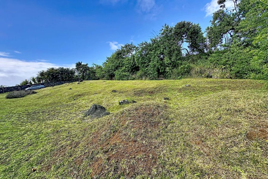 Floréal Land 1056&nbsp;m² Sale