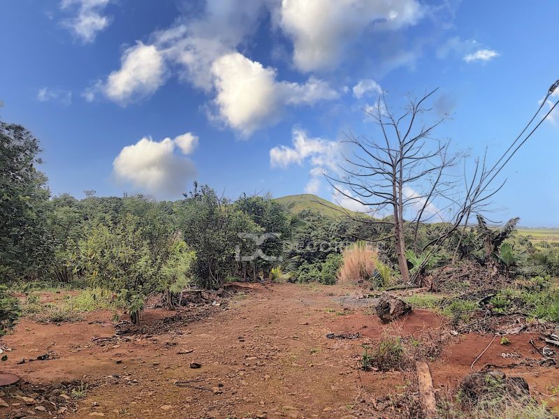 Surinam Land 3.93&nbsp;ha Sale