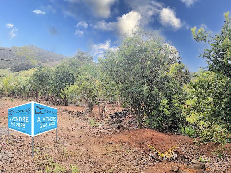 Surinam Land 3.93&nbsp;ha Sale