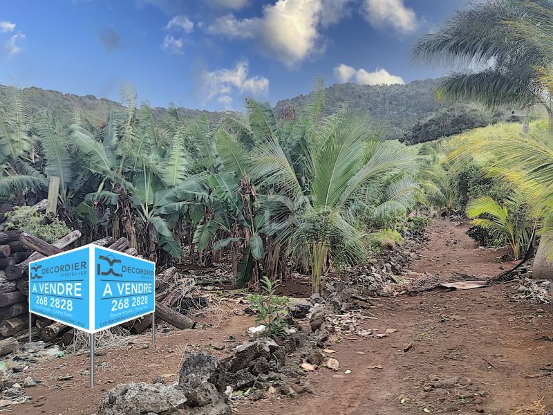 Surinam Land 3.93&nbsp;ha Sale